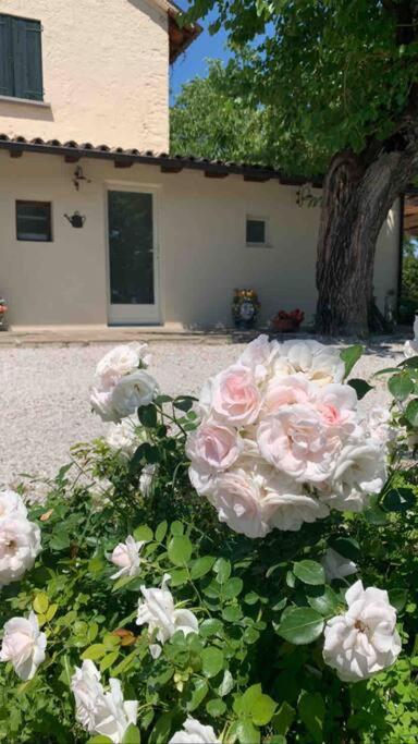 Casa Bellona Montebelluna Ngoại thất bức ảnh